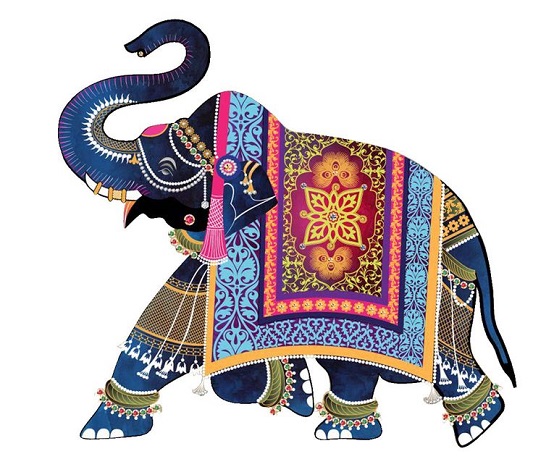Future India Export